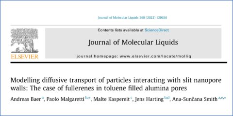 Towards entry "Joint publication on molecular dynamics of pore diffusion of nanoparticles"
