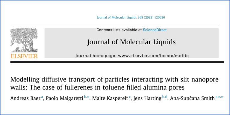 Joint publication on molecular dynamics of pore diffusion of nanoparticles